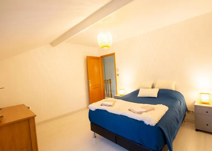 Camalope * Coulounieix-Chamiers