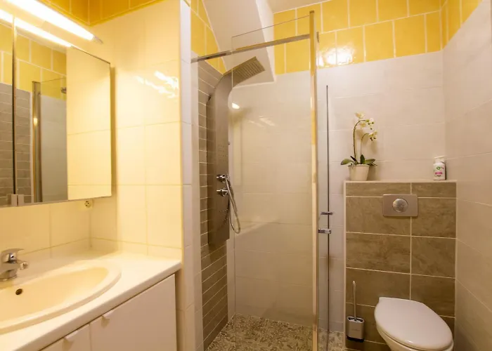 Camalope * Coulounieix-Chamiers